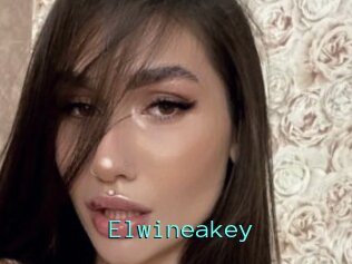 Elwineakey