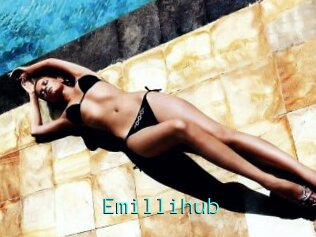 Emillihub