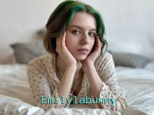 Emilylabunny