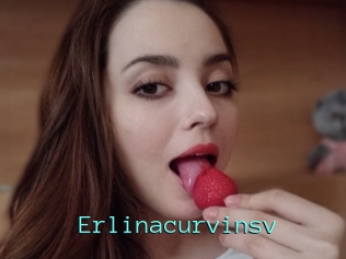 Erlinacurvinsv