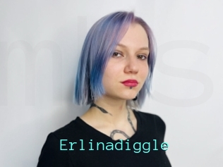 Erlinadiggle