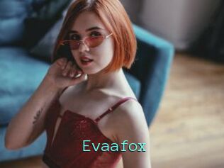 Evaafox