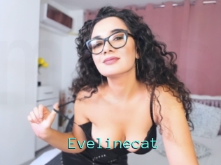 Evelinecat