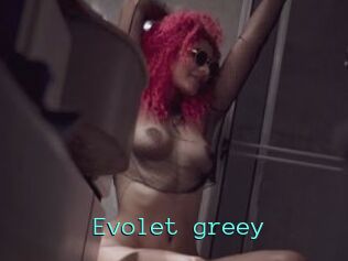 Evolet_greey