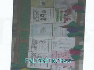 FALCO8INCHss