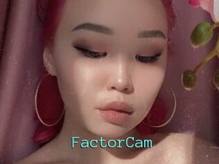 FactorCam
