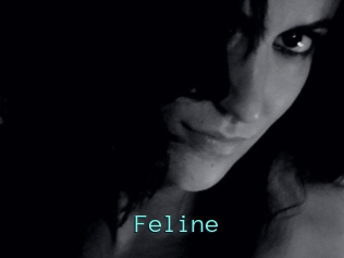 Feline