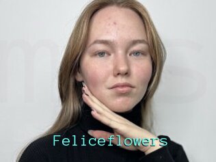 Feliceflowers