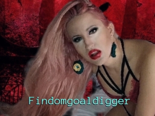Findomgoaldigger
