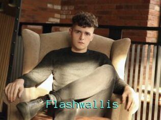 Flashwallis