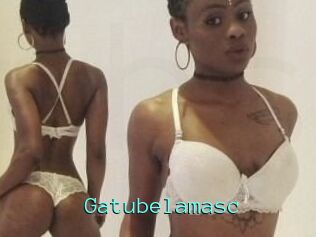 Gatubela_masc