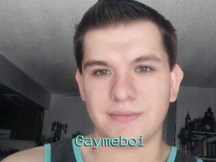 Gaymeboi