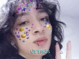 Gr1m3s