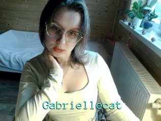 Gabriellecat