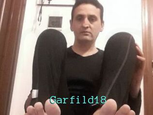 Garfild18