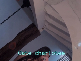Gate_charlotee