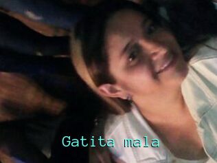 Gatita_mala