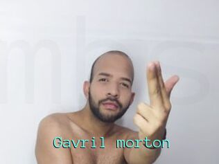 Gavril_morton
