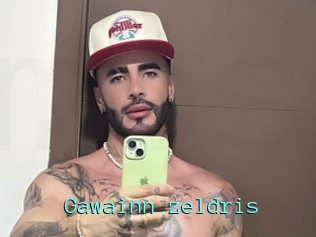 Gawainn_zeldris