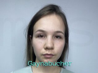 Gaynabucher