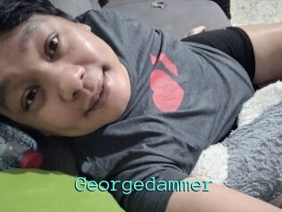 Georgedammer
