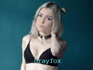 Grayfox