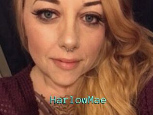 Harlow_Mae