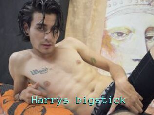 Harrys_bigstick