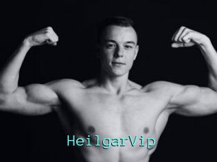 HeilgarVip