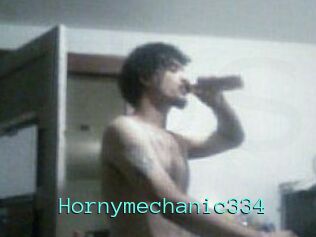 Hornymechanic334