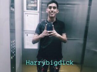 Harrybigdick