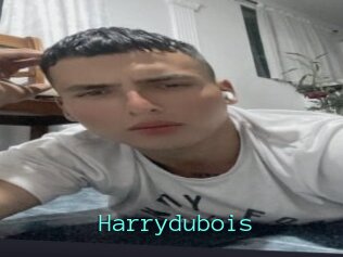 Harrydubois