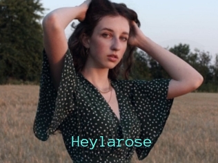 Heylarose