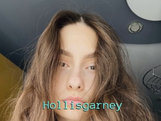 Hollisgarney