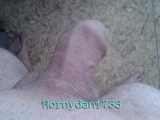 Hornydan1733