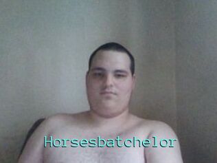 Horsesbatchelor