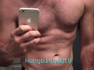 Hungbistud18