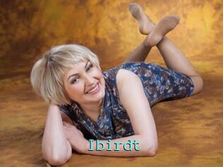 Ibirdt