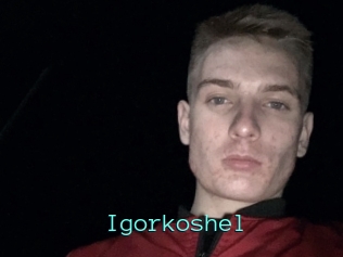Igorkoshel