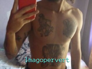 Imagopervert
