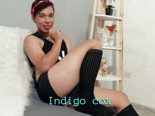 Indigo_cox
