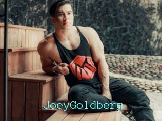 JoeyGoldberg