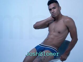 JoshBlomer