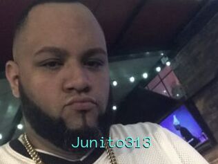 Junito313