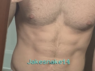 Jakesnake14