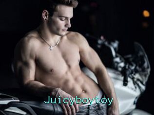 Juicyboytoy