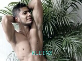 KLEINX