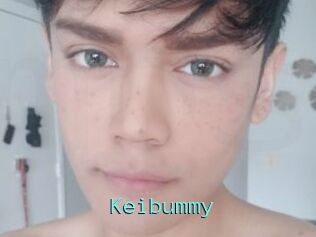 Keibummy