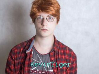 KevinTiger