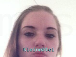 KleineStel